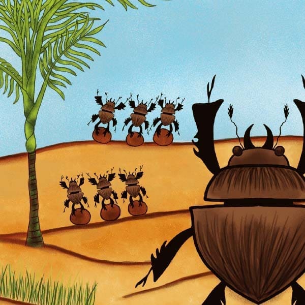 dungbeetles