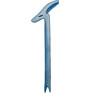 the staff