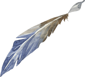 feather