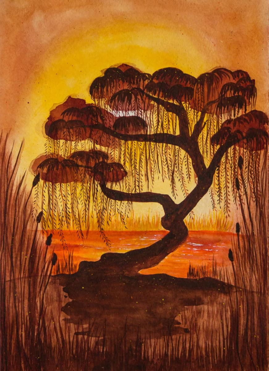 willow tree sunset